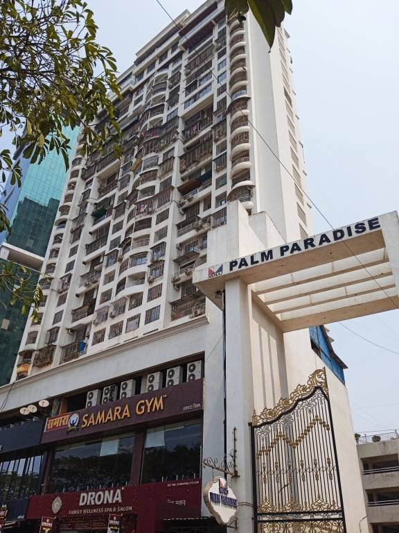  palm paradise Elevation