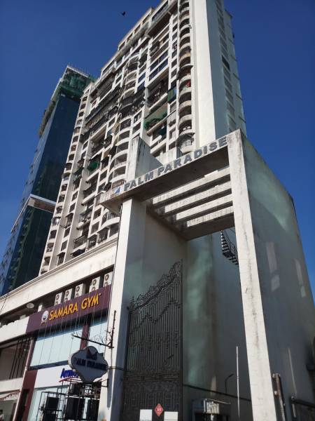 Images for Project palm-paradise Images for Project