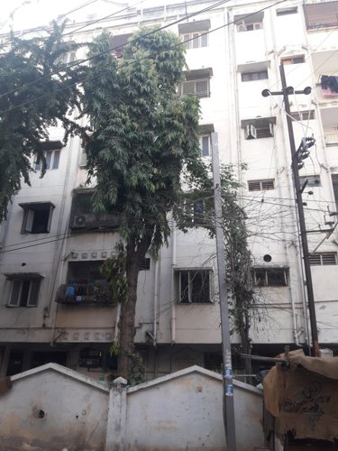  moonrock-apartments Images for Project