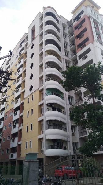  dayton-heights Elevation