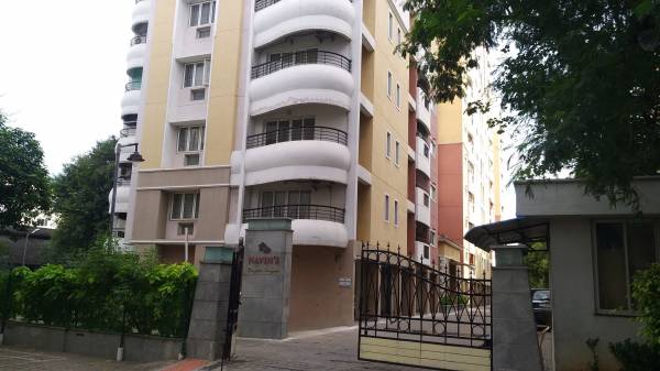  dayton-heights Others