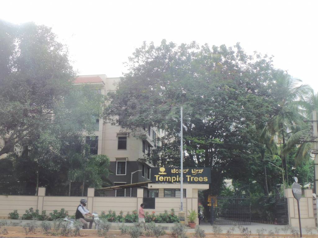  temple trees Elevation