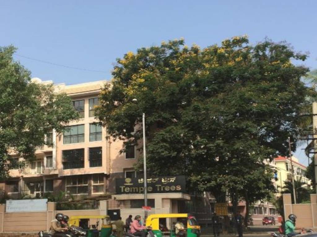  temple trees Elevation