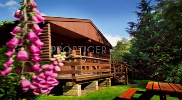 Images for Elevation of Veracity Emerald Valley Images for Elevation of Veracity Emerald Valley