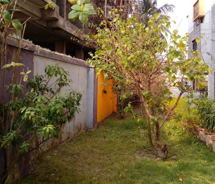  woods Landscaped Gardens