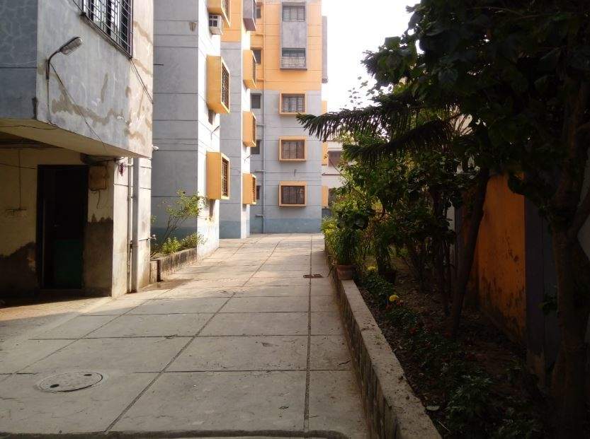  woods Paved Compound