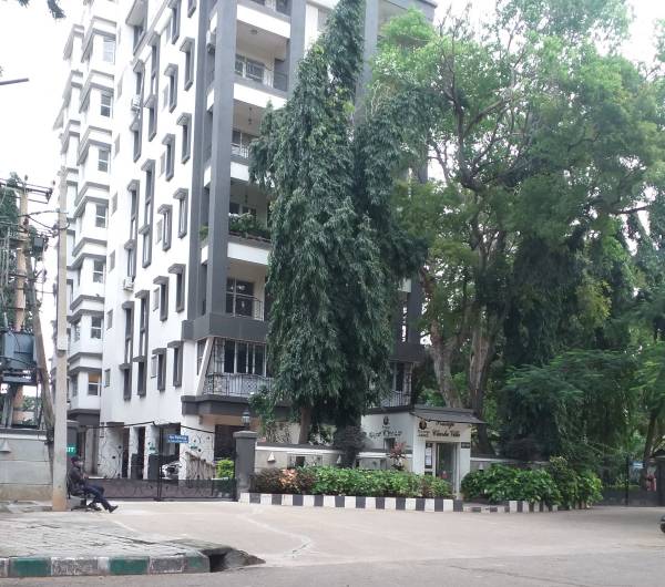  clarke-ville Elevation