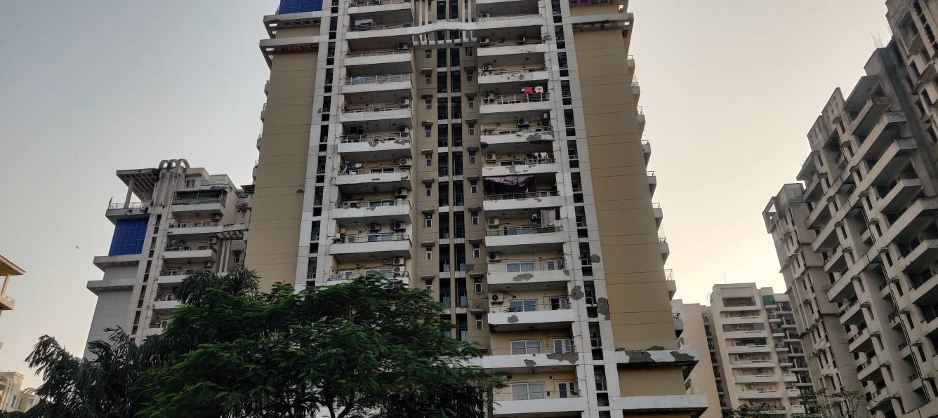  silver estate Elevation