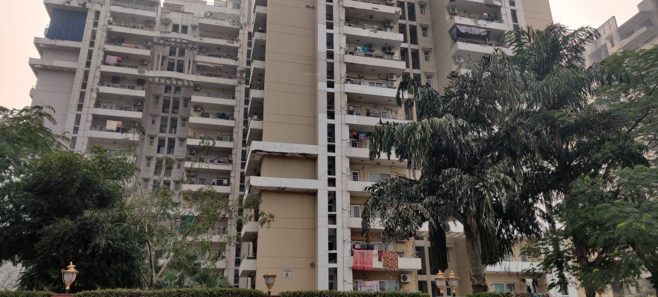  silver estate Elevation