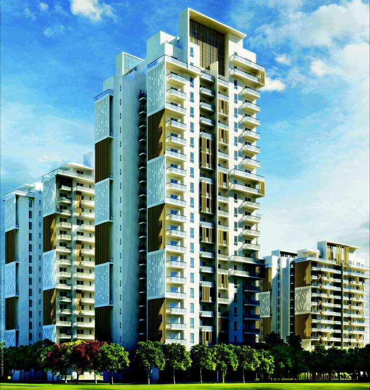 irene Images for Elevation of Paras Irene