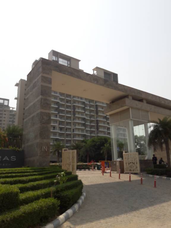 irene Images for Project