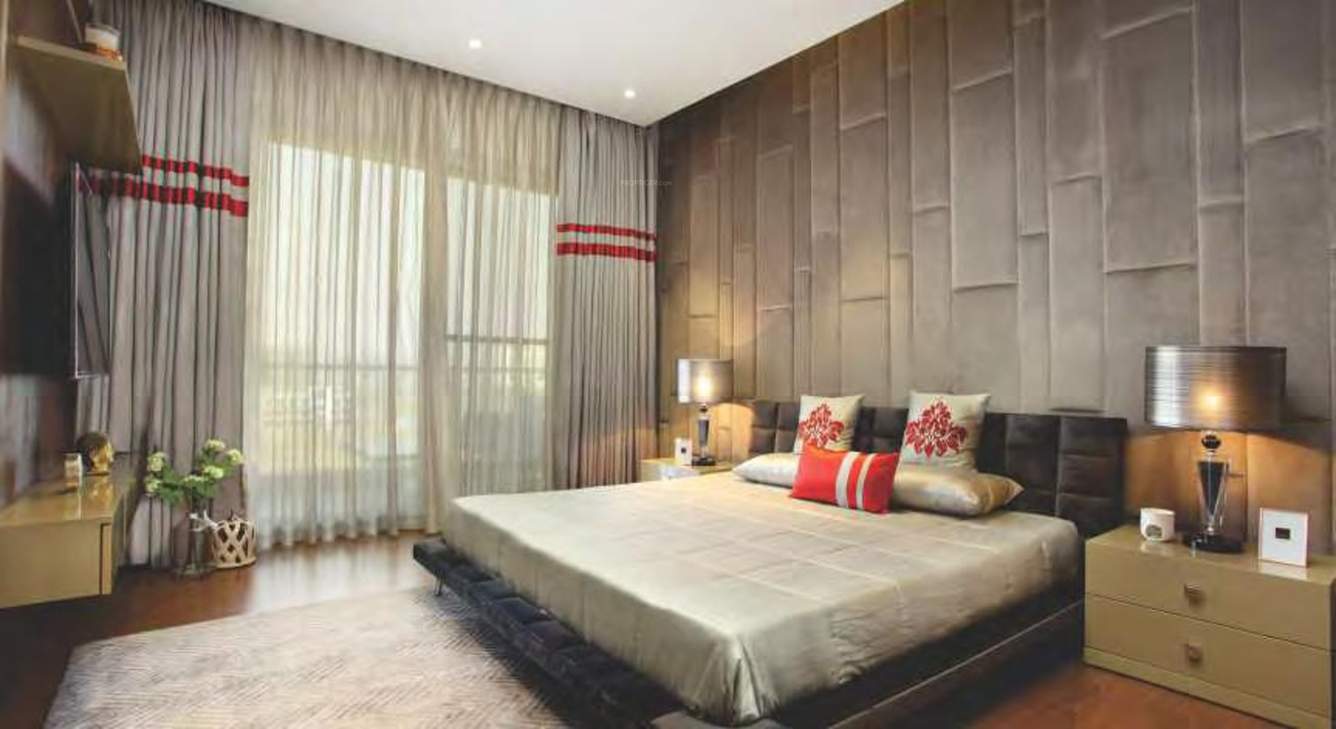 irene Images for Main Other of Paras Irene