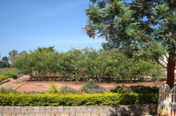 Elevation aero-grand Elevation