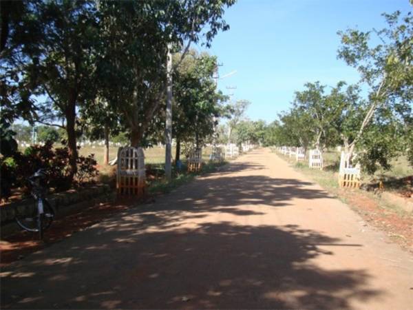  aero-grand Internal Roads