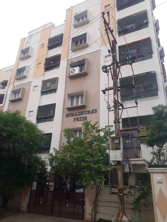  sumadhuras pride Elevation