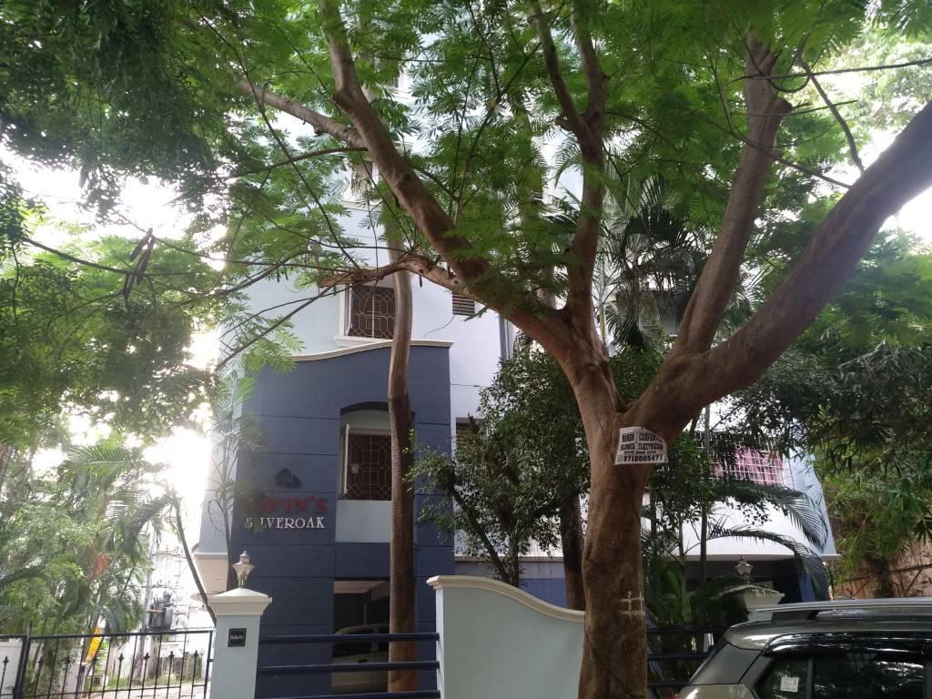 navin silver oak Elevation