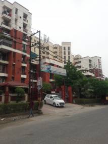 Elevation gardenia Elevation