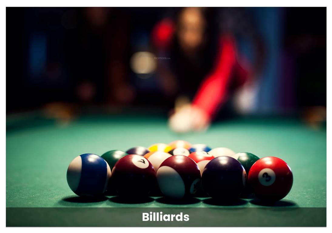  swadesh Billiards/ Snooker Table