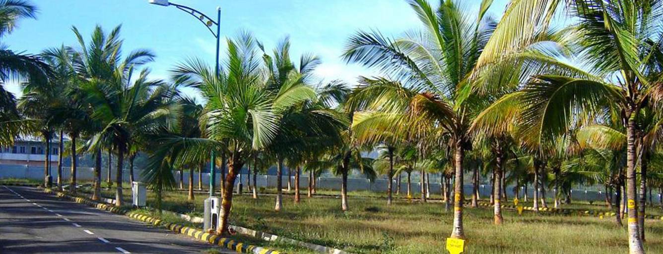 Images for Amenities of JR Coco Nest Phase Three