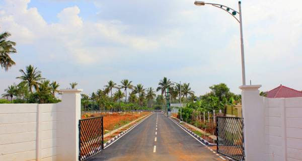  coco-nest-phase-three Main Other