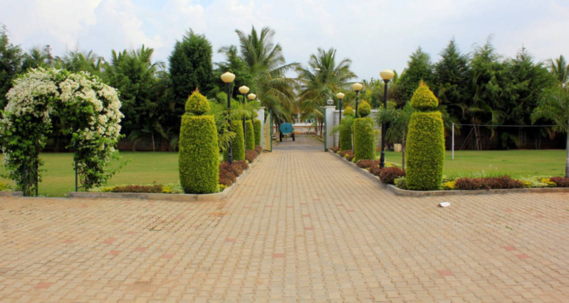  coco nest phase three Main Other