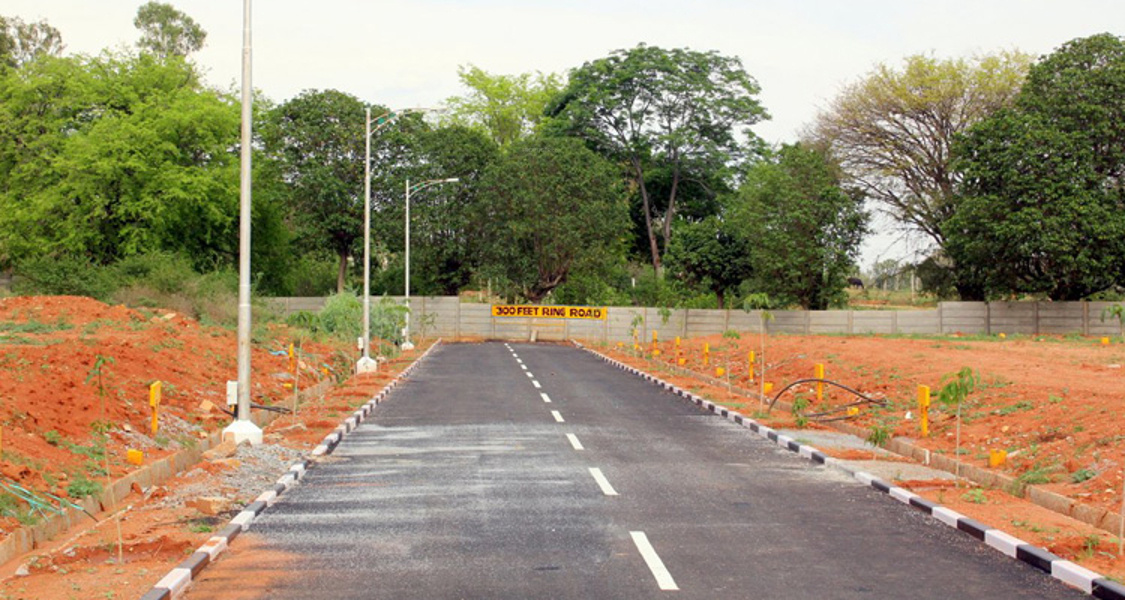  coco nest phase three Main Other