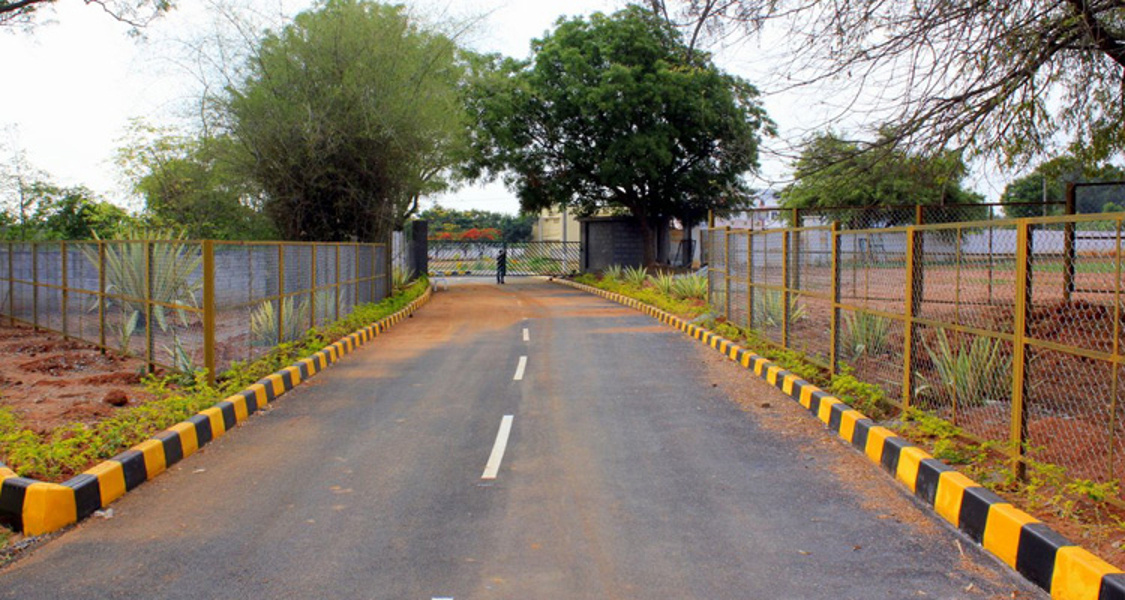  coco nest phase three Main Other