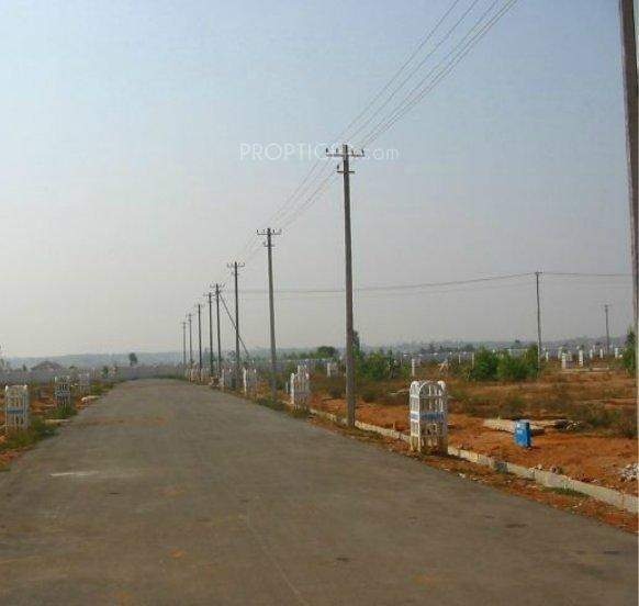  evergreen Main Other