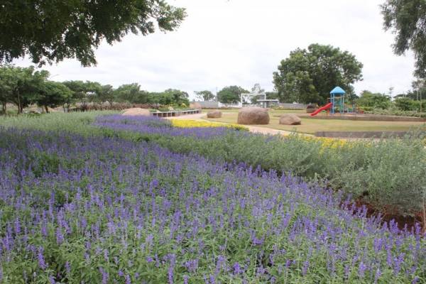 Images for Amenities of Primus Epsilon