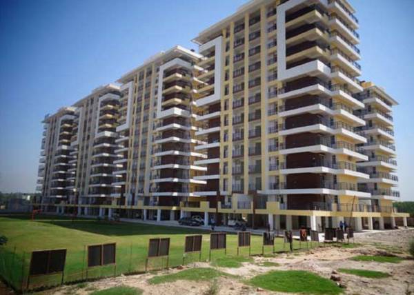  palm-village Elevation