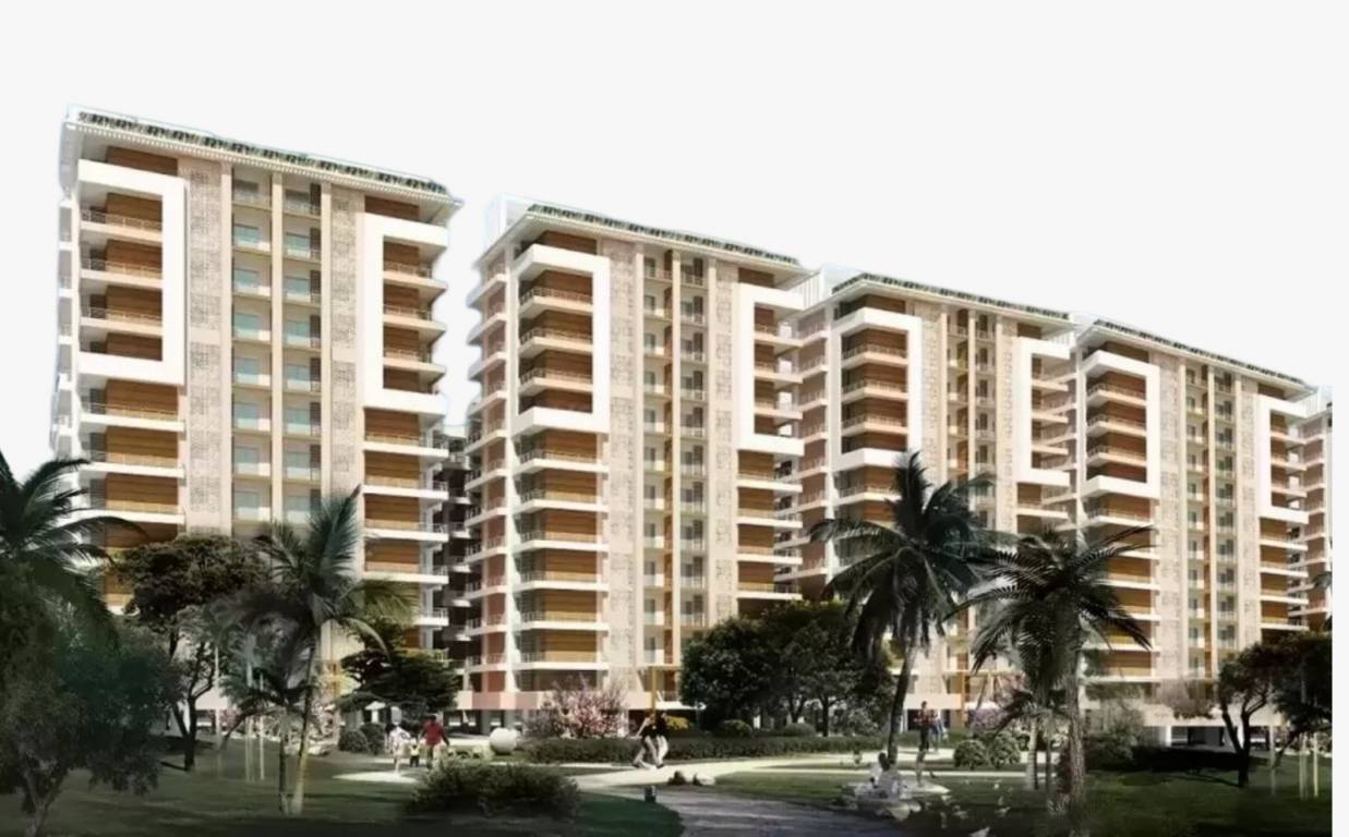  palm village Elevation