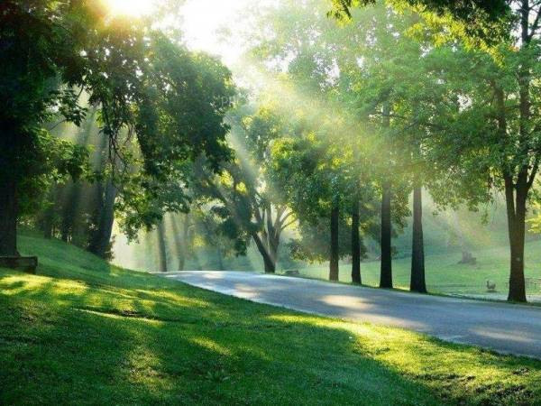 Images for Amenities of Pushkar Blossoms Images for Amenities of Pushkar Blossoms