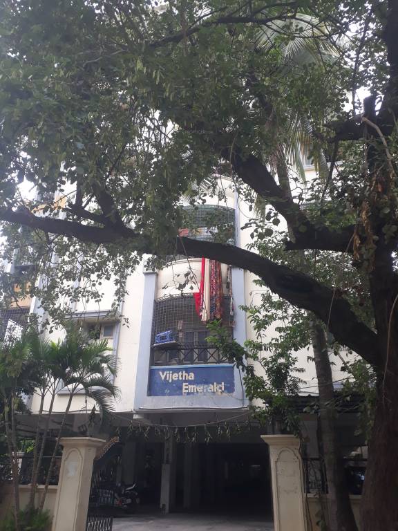  vijetha emerald Elevation