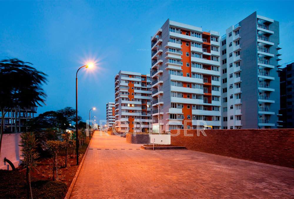  metropolis Elevation