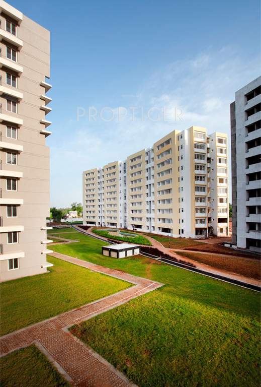  metropolis Elevation