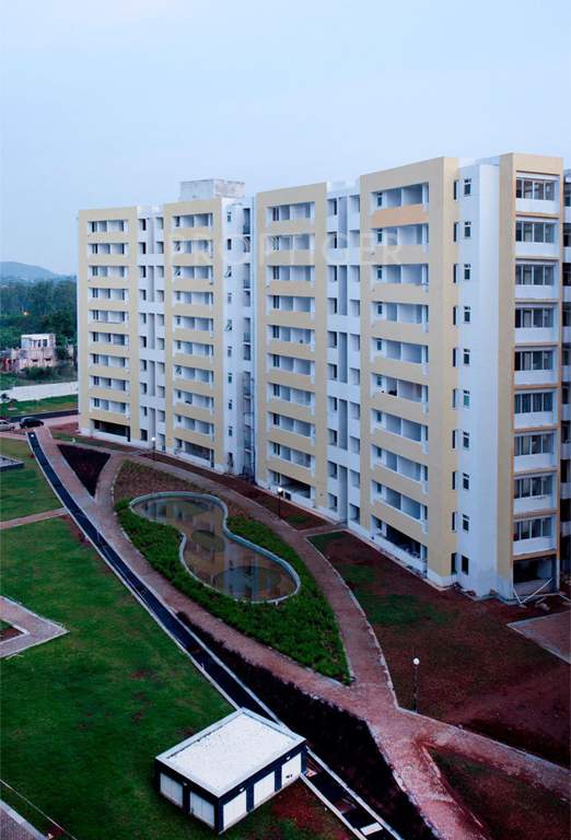  metropolis Elevation