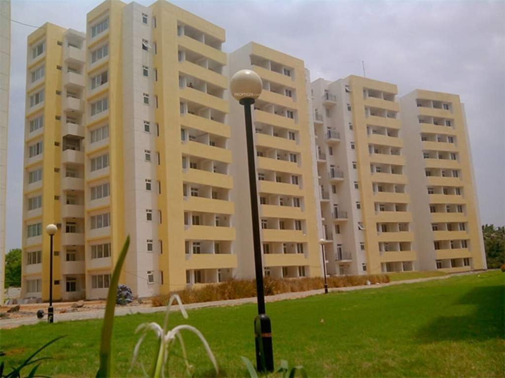  metropolis Elevation