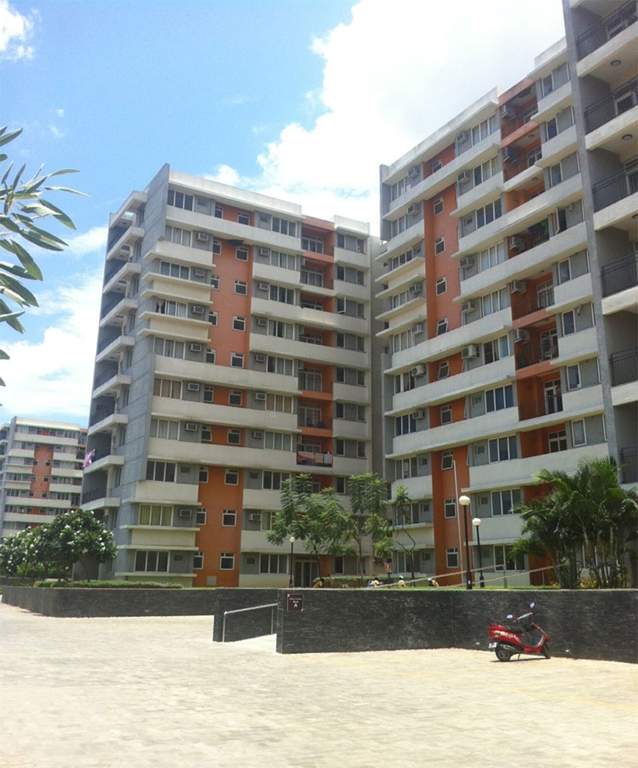  metropolis Elevation