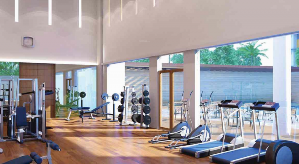  metropolis Gymnasium