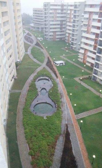  metropolis Landscape Garden and Tree Planting