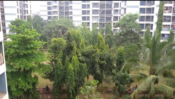  dhara-phase-ii Elevation