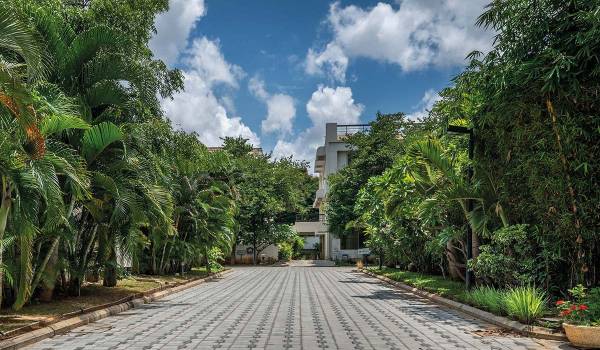  the-trails Internal Roads & Footpaths