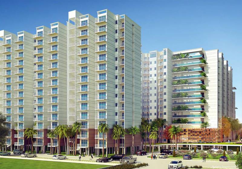 Images for Elevation of MVL The Palms