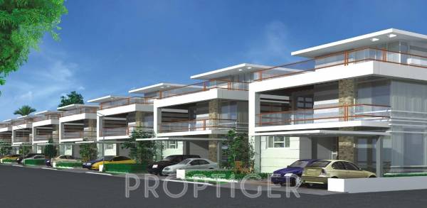 Images for Elevation of Green Icons Isle