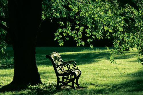 Images for Amenities of Skylark Group Arcadia Images for Amenities of Skylark Group Arcadia