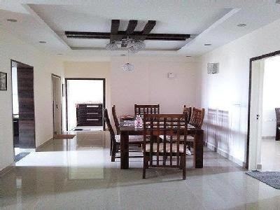 Images for mainOther