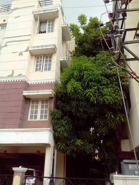  sai charan Elevation