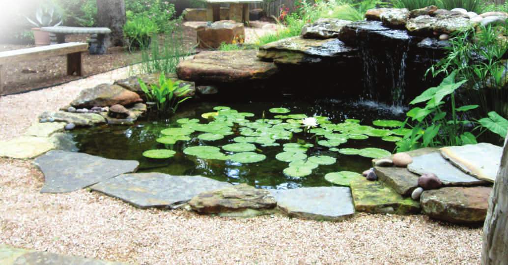  ornate Images for Amenities of Legend Ornate