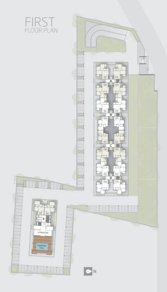  orchid-greens Cluster Plan for 1st Floor
