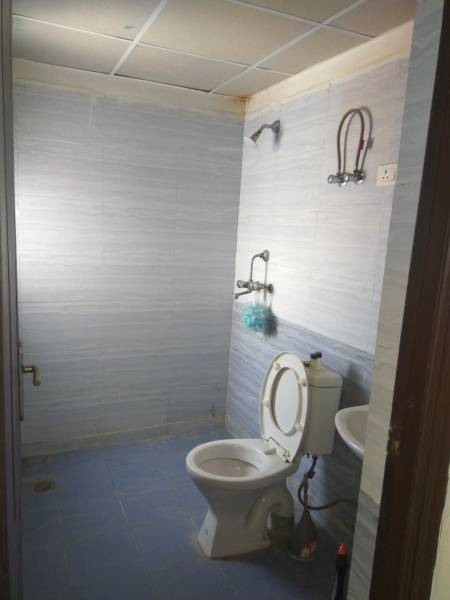 Bathroom greens Bathroom